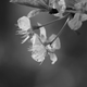 Image for article titled Shooting Challenge: Blackwhite 5